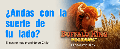 Tu Casino Online Favorito en Chile